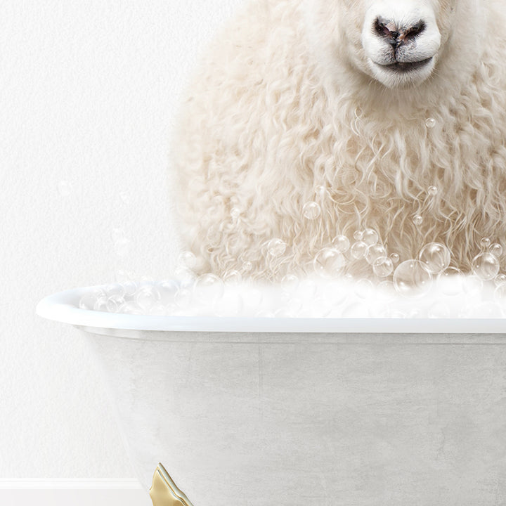 a sheep is sitting in a bathtub with bubbles