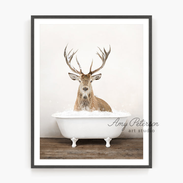 a picture of a deer sitting in a bathtub