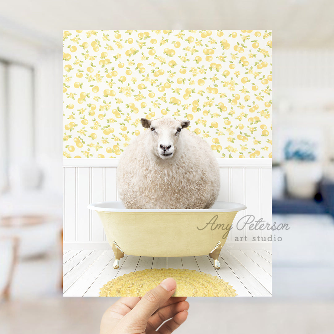 a hand holding up a picture of a sheep in a bathtub