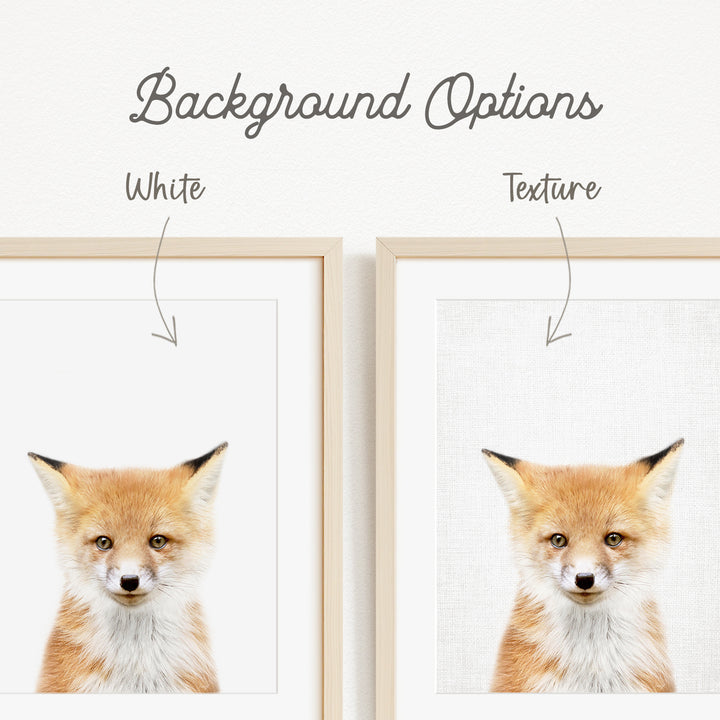 a close-up of a fox's face, with two framed pictures side by side. The fox has a white background, and the text "Background Options" is displayed above the pictures.