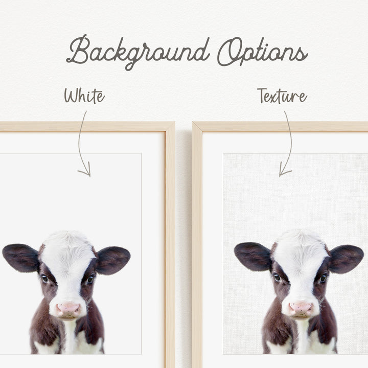 a close-up of a cow's face, with a white background and a wooden frame.