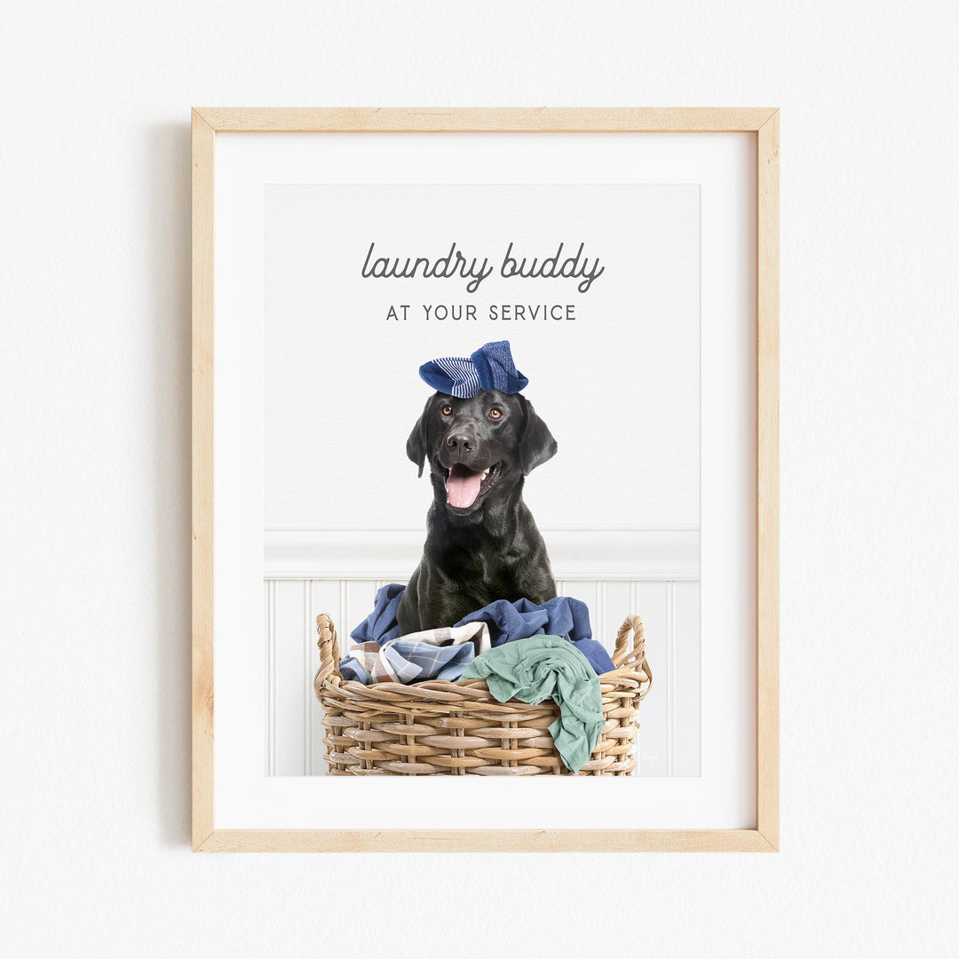 a picture of a dog sitting in a basket