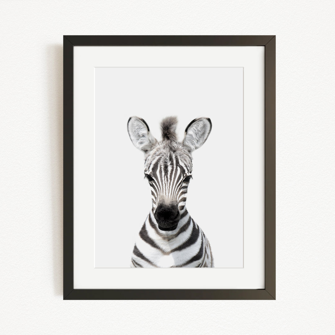 A framed black and white photograph of a zebra's head, with its distinctive black and white striped pattern clearly visible.