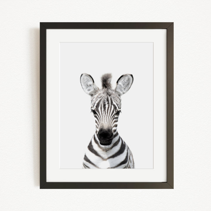 A framed black and white photograph of a zebra's head, with its distinctive black and white striped pattern clearly visible.