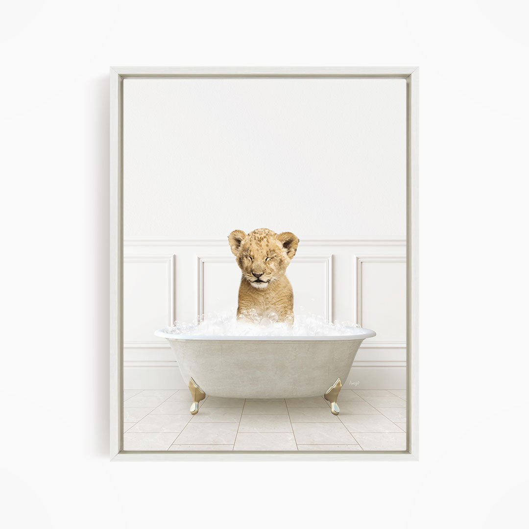 A young lion cub sitting in a white bathtub filled with water, looking directly at the camera.