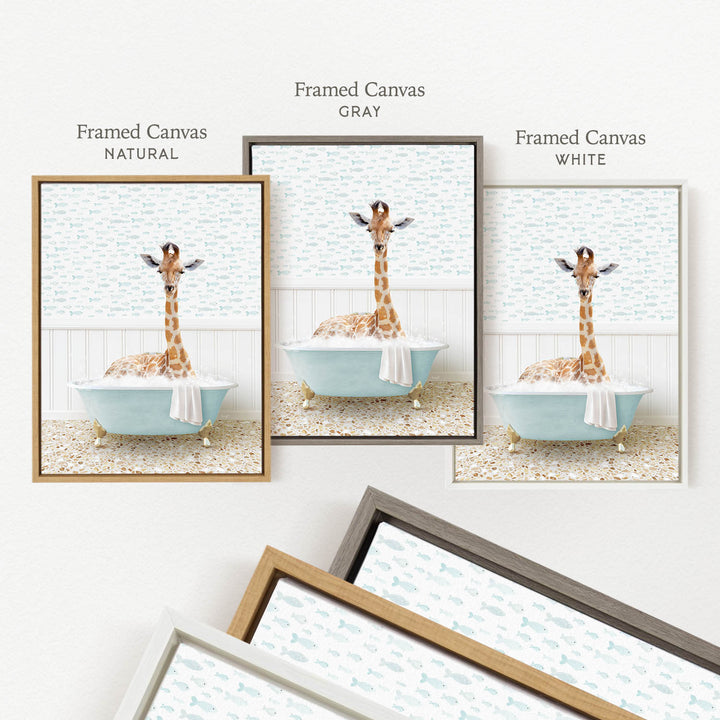 three framed pictures of a giraffe sitting in a bathtub, each with a different color frame.