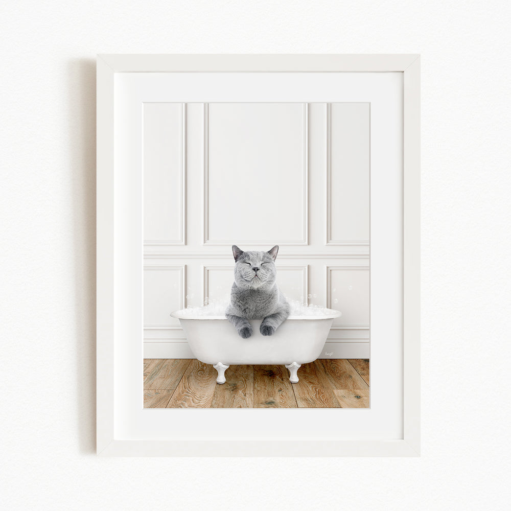 A gray cat sitting in a white bathtub, looking directly at the camera with a relaxed and content expression.