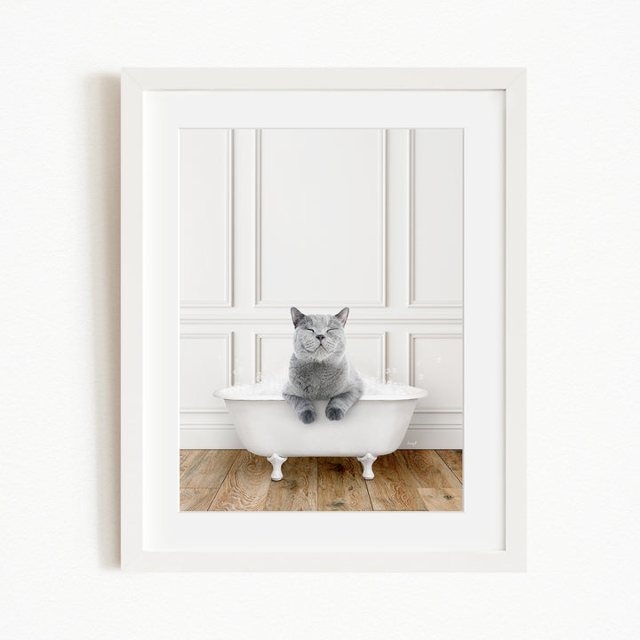 A gray cat sitting in a white bathtub, looking directly at the camera with a relaxed and content expression.