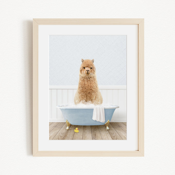 A fluffy brown dog sitting in a blue bathtub filled with water, surrounded by rubber duckies.