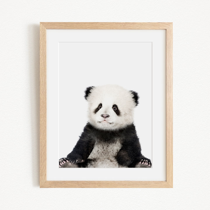 A cute panda bear sitting in a wooden frame on a white wall.