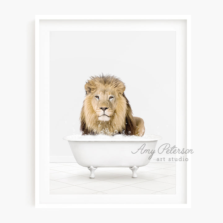 a lion sitting in a bathtub with a white background