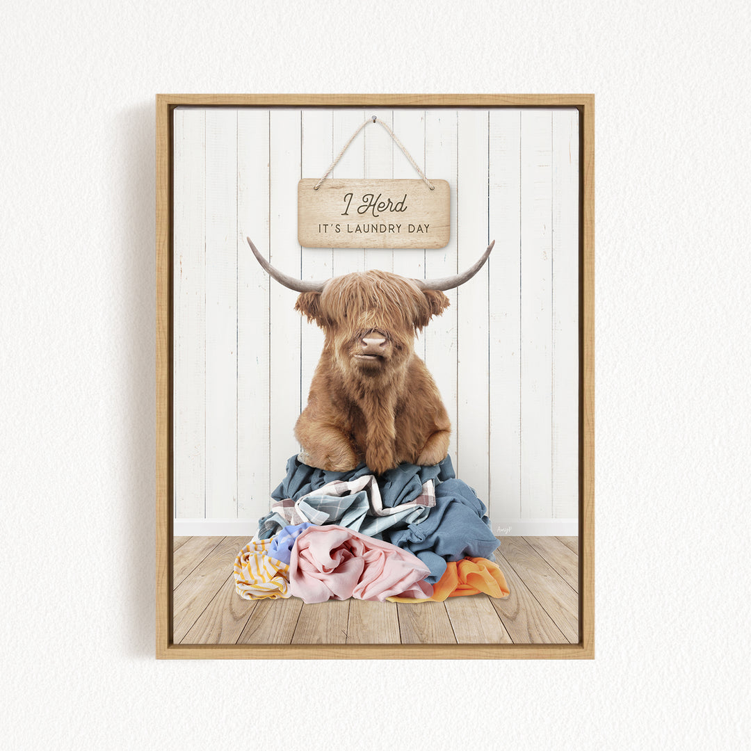 A framed image of a Highland cow with large horns sitting on a pile of laundry, with a sign above that says "I herd it's laundry day".