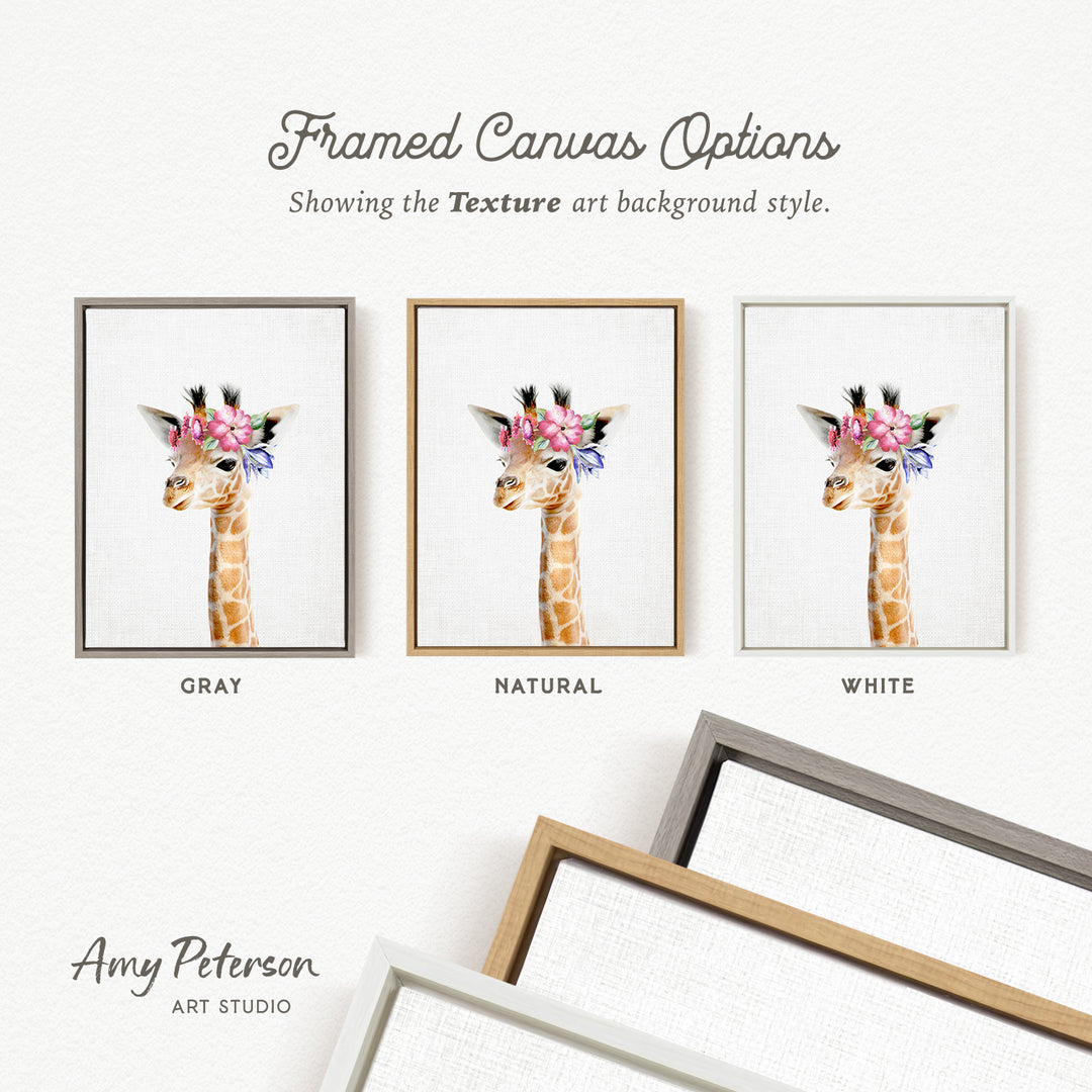 three framed canvas options, each featuring a giraffe with a floral headpiece. The options are labeled as "Grays," "NATURAL," and "WHITE," indicating the color of the frame. The text " Framed Canvas Options" is displayed above the options, and "Showing the Texture art background style." is written below the giraffe images. The artist's name, " Amy Peterson," is also included at the bottom of the image.
