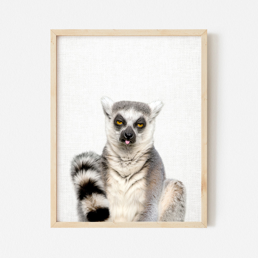 a picture of a lemura in a wooden frame