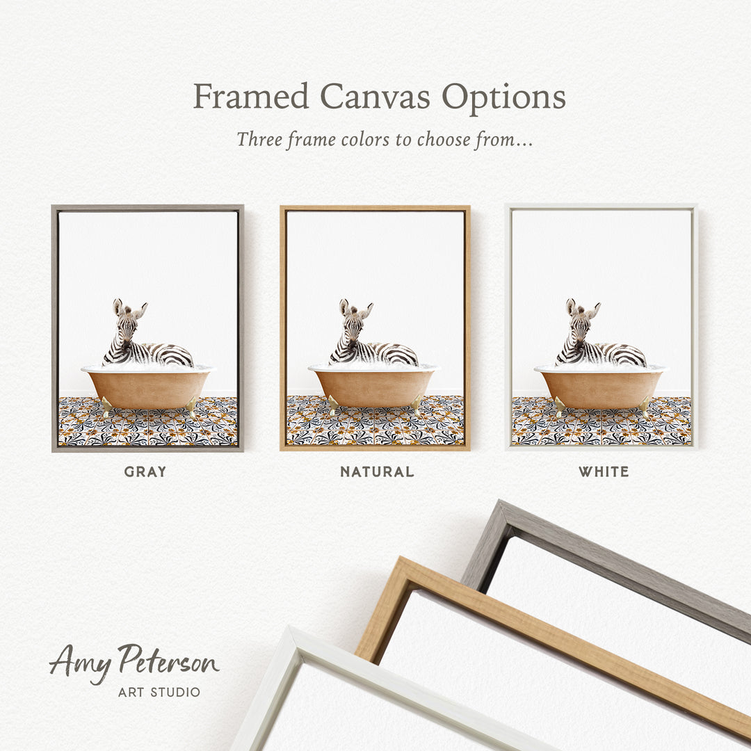 three framed canvas options, each featuring a zebra in a bowl. The options include a gray frame, a natural frame, and a white frame. The text above the options reads " Framed Canvas Options" and "Three frame colors to choose from...". The bottom of the image includes the text " Amy Peterson ART STUDIO".