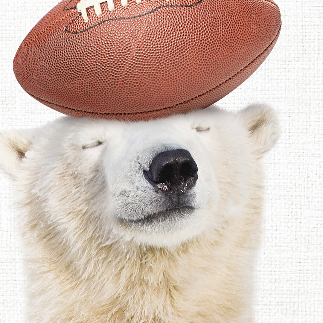 a polar bear with a football on its head