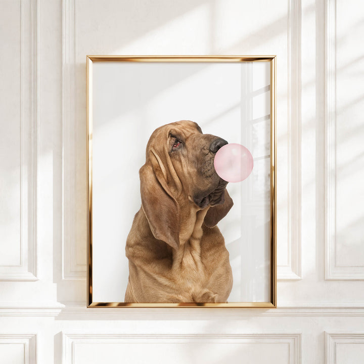 A brown dog is blowing a bubble with a pink bubble gum bubble in a gold frame, set against a white wall.
