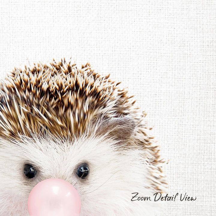 A close-up of a hedgehog's face with its eyes and nose, and a pink bubble in its mouth, against a plain white background.
