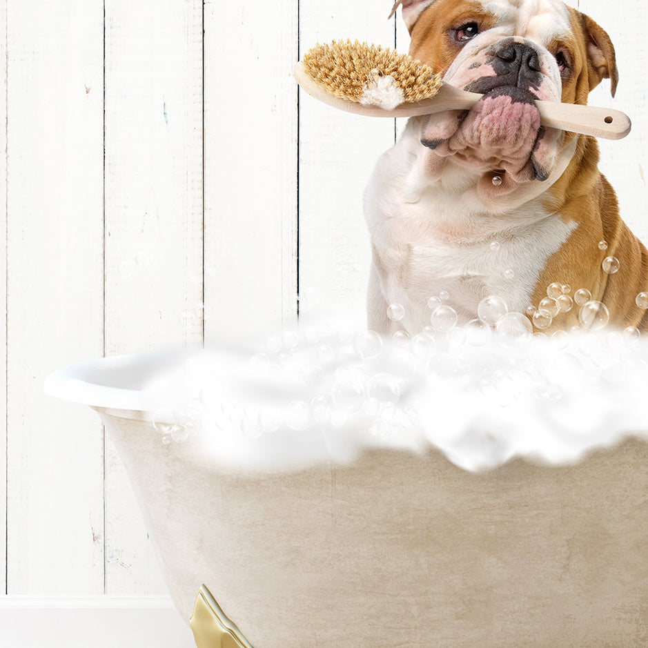 a dog sitting in a bathtub with a brush in it's mouth