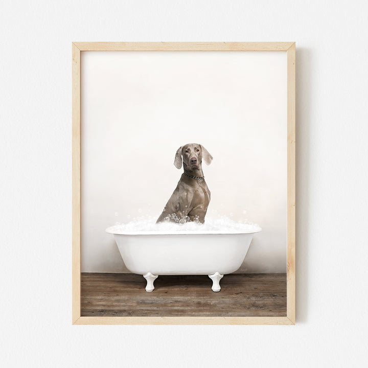 a dog sitting in a bathtub with foam on it