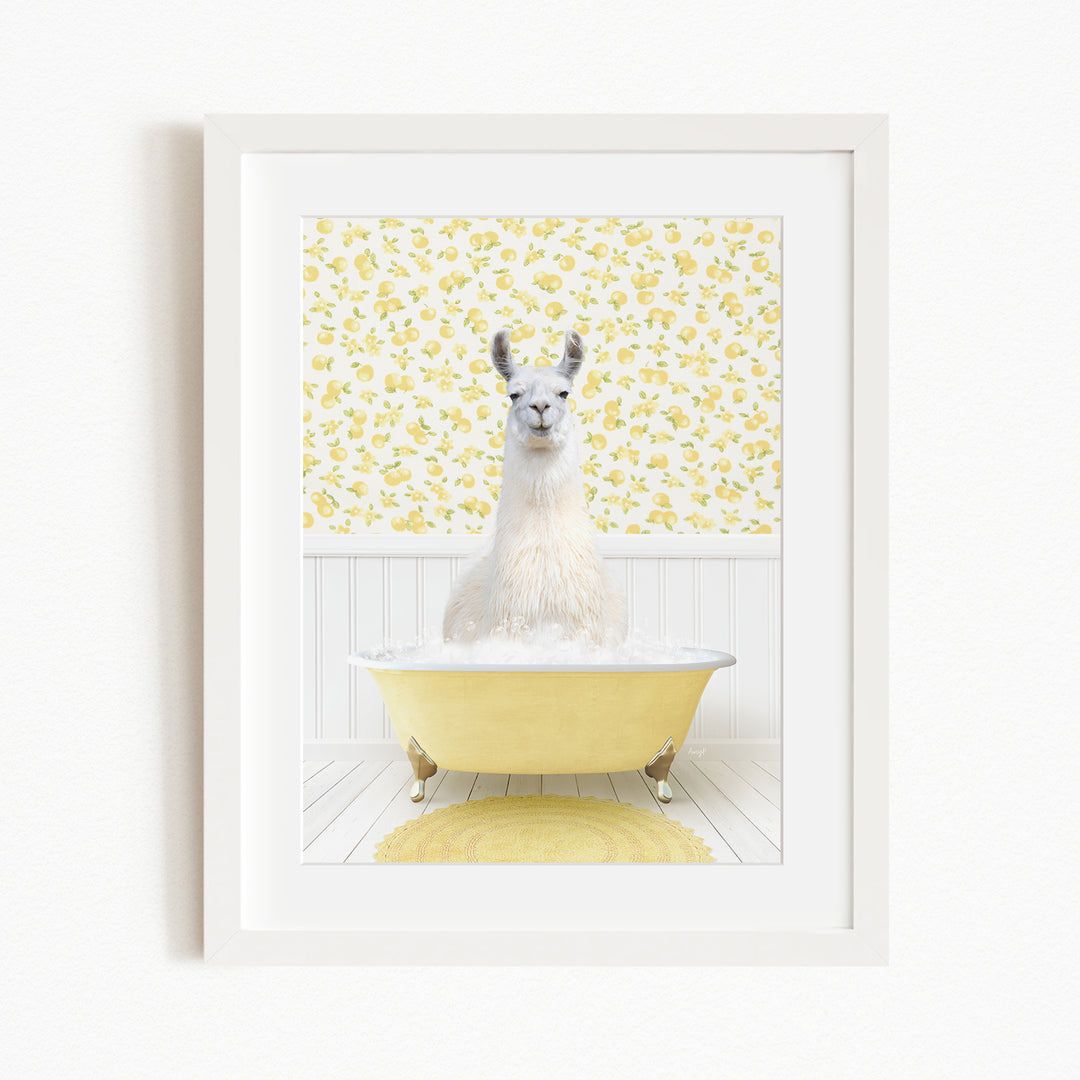 A white llama sitting in a yellow bathtub against a yellow and white floral wallpaper background.