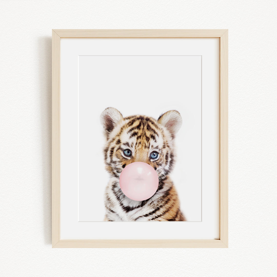A young tiger cub blowing a bubble with a pink bubble gum bubble.
