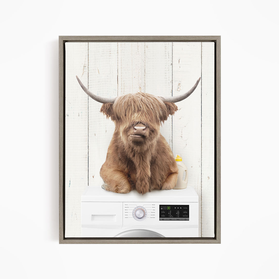 A Highland cow with shaggy fur and large curved horns is sitting on top of a white washing machine with a control panel.