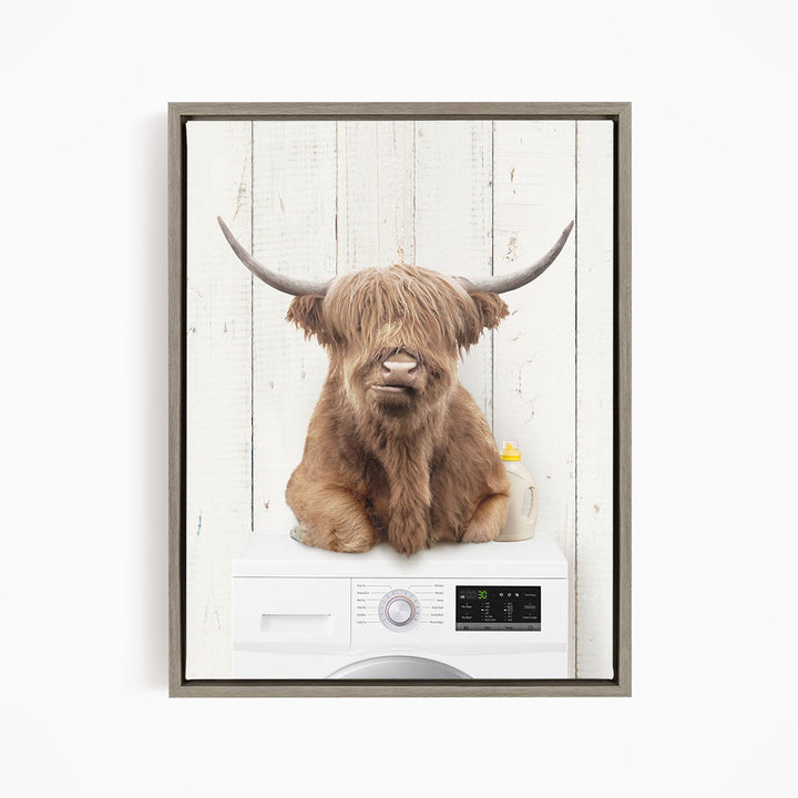 A Highland cow with shaggy fur and large curved horns is sitting on top of a white washing machine with a control panel.