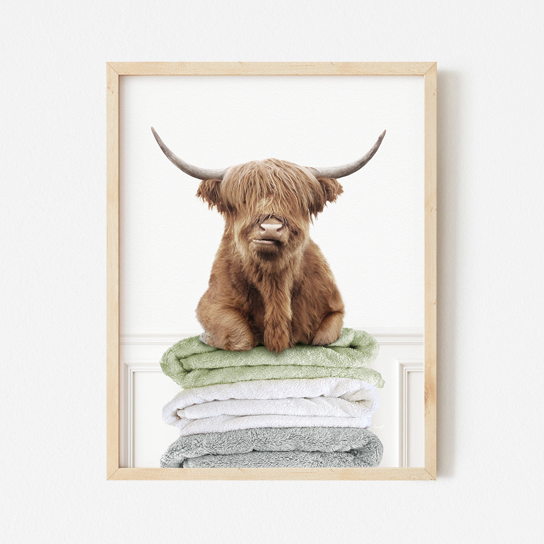 a picture of a highland cow sitting on a pile of towels