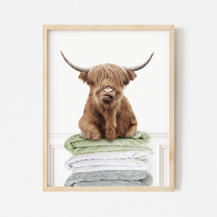 a picture of a highland cow sitting on a pile of towels