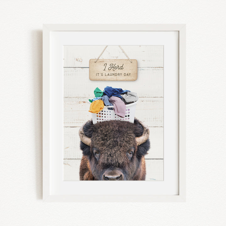 A framed image of a buffalo with a sign above it that says "I herd, it's laundry day".