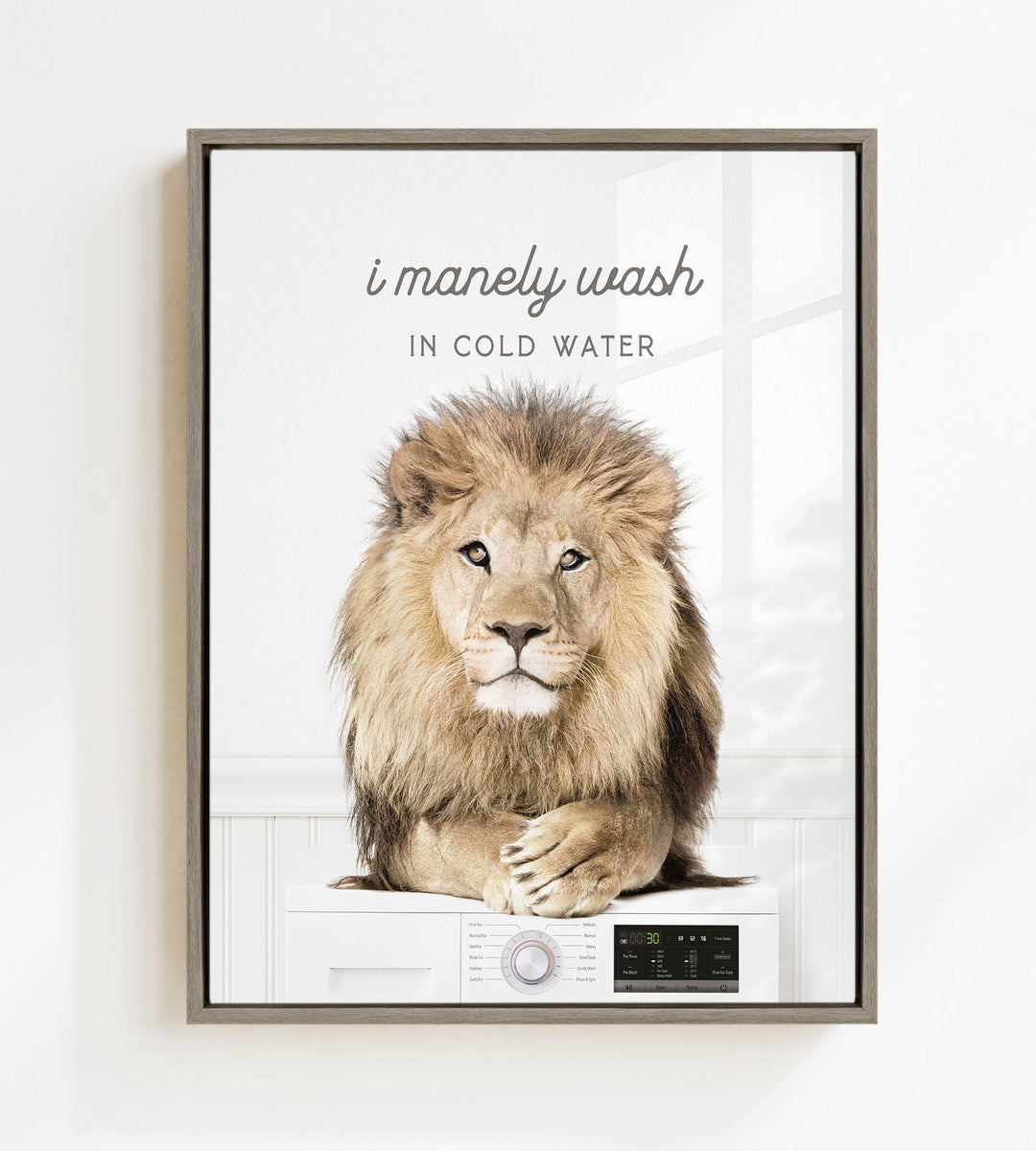 A framed image of a lion sitting on a washing machine, with the text "I merely wash in cold water" above it.
