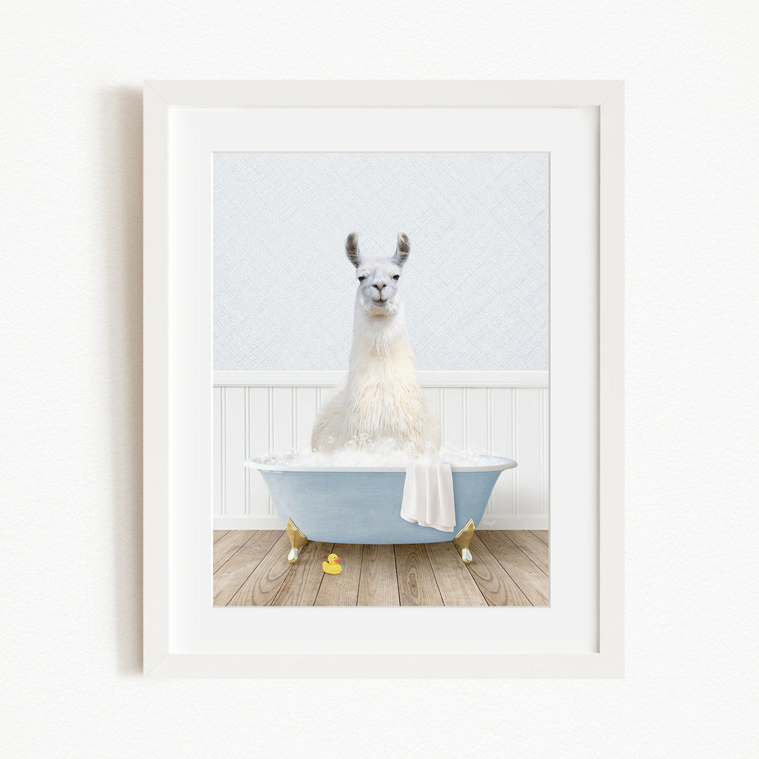 A white llama sitting in a blue bathtub filled with bubbles, with yellow rubber duckies floating around it.