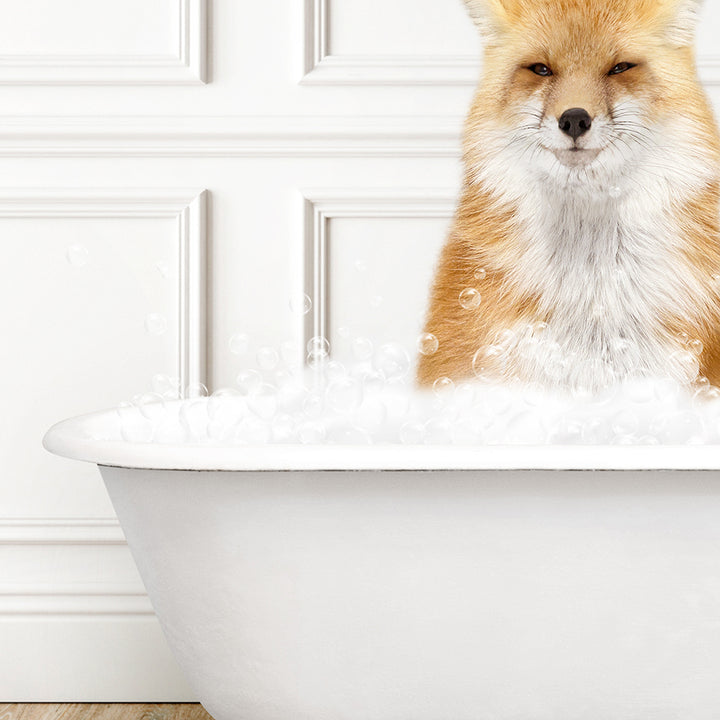 a fox sitting in a bathtub full of foam