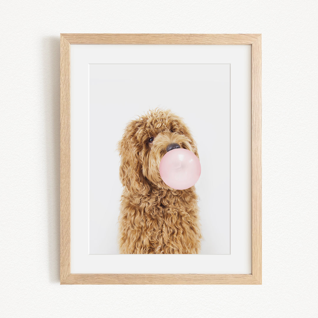 A brown curly-haired dog is blowing a bubble with a pink bubble gum bubble wand.