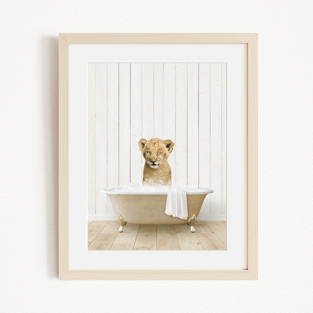 A young lion cub sitting in a bathtub filled with water, looking directly at the camera.