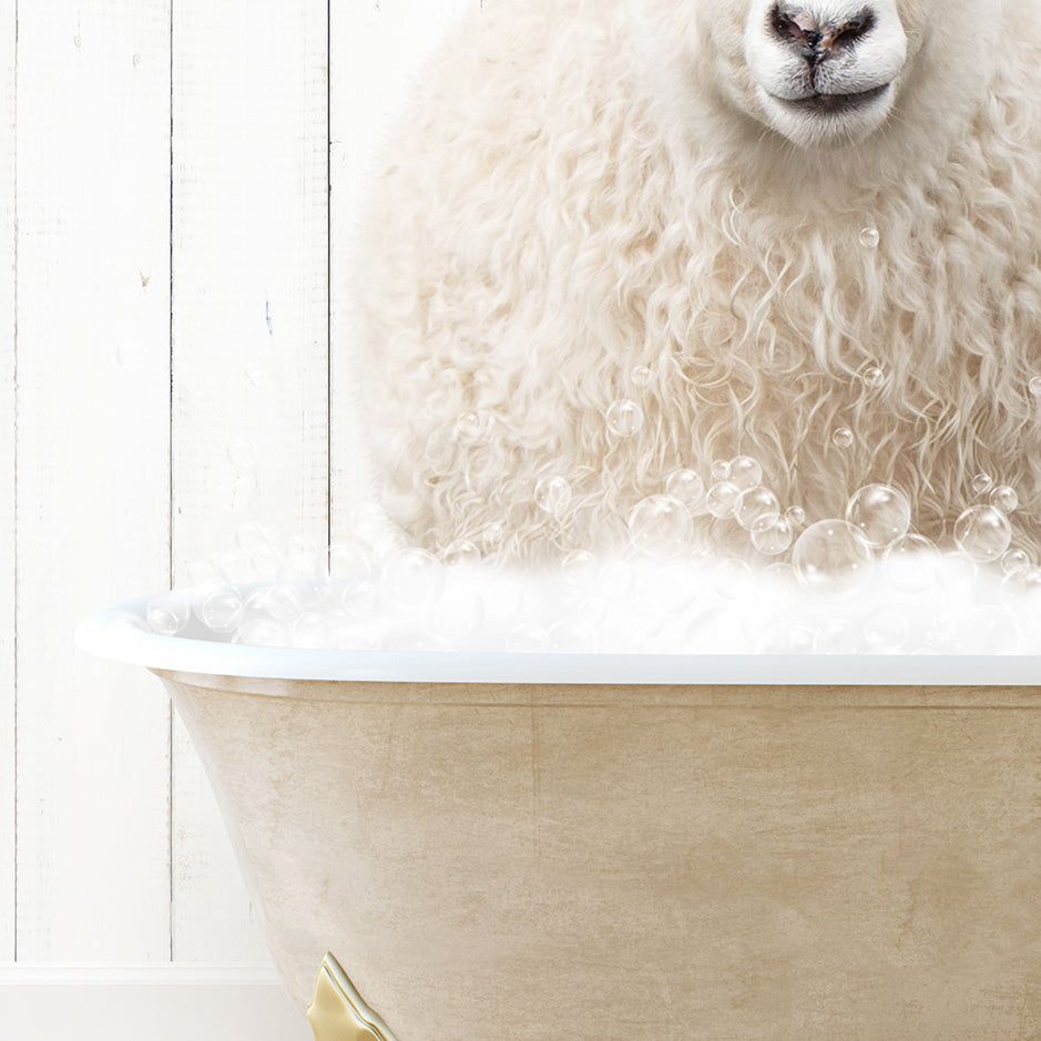 a sheep is sitting in a bathtub with bubbles