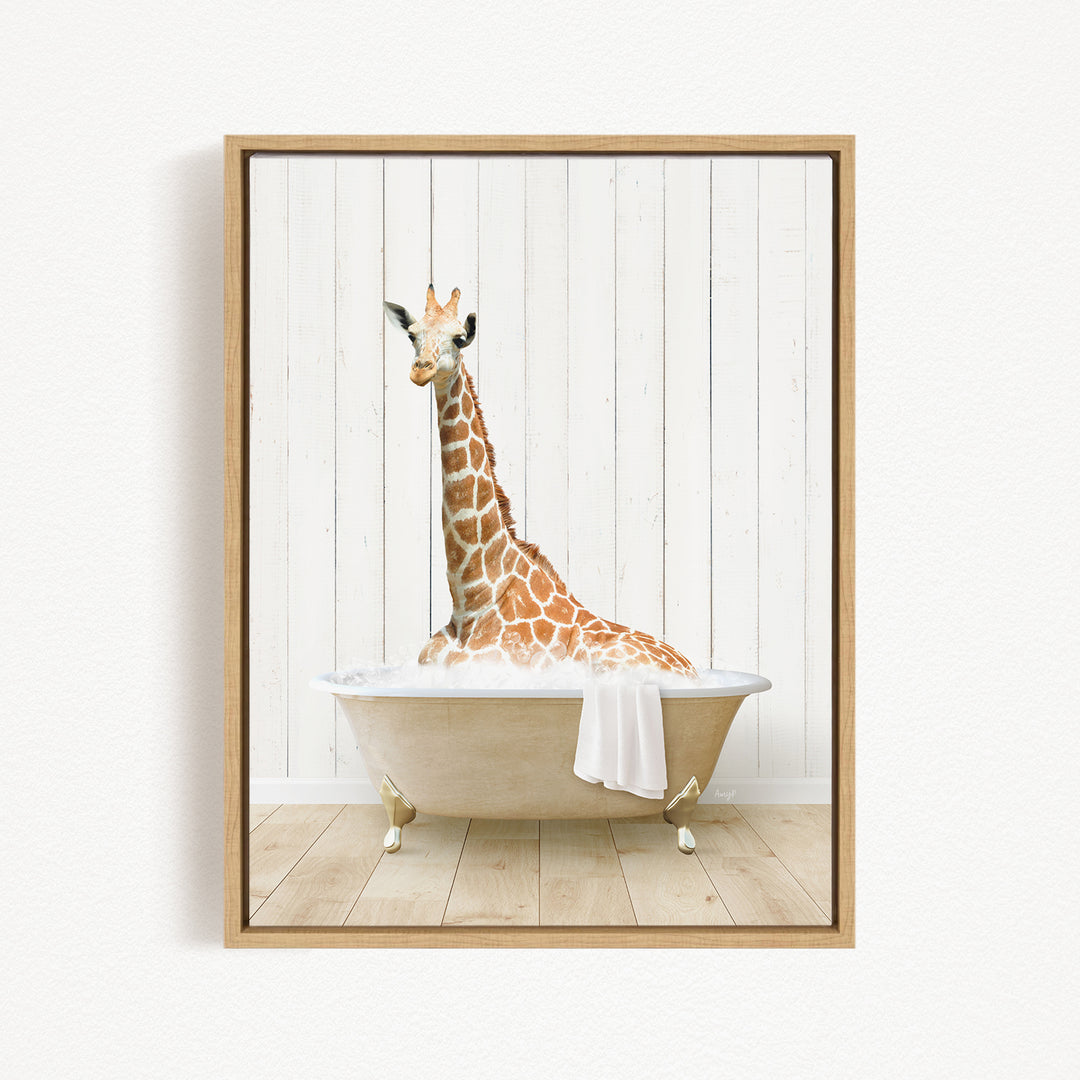 A giraffe sitting in a bathtub filled with water, with a towel draped over the side of the tub.