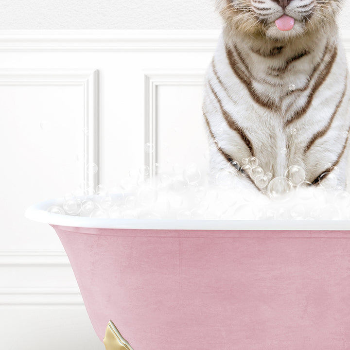 a tiger sitting in a bathtub with its tongue hanging out