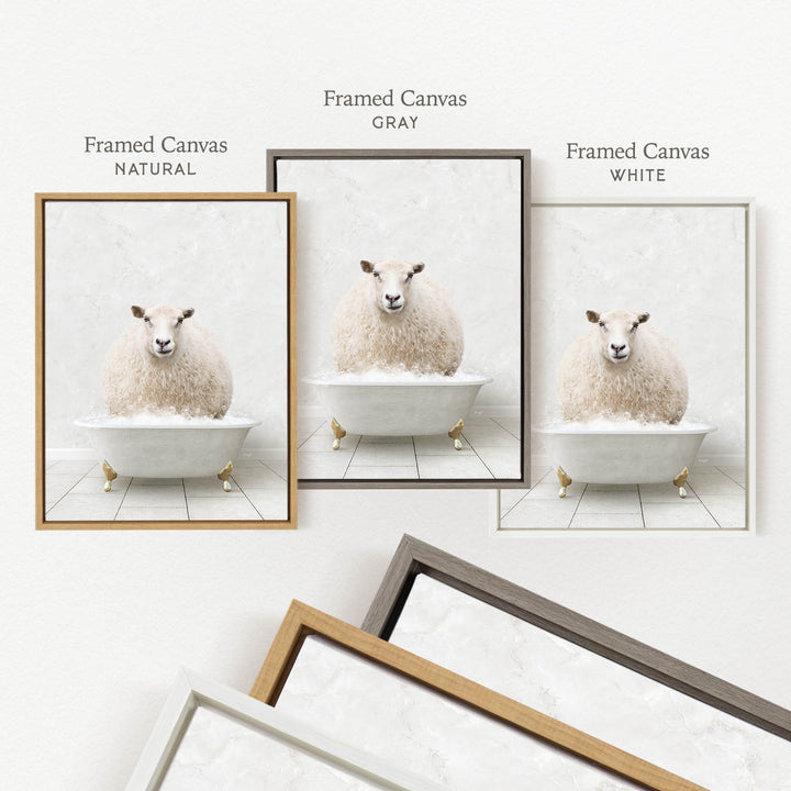 a collage of three framed pictures of a sheep sitting in a bathtub, each with a different colored frame.