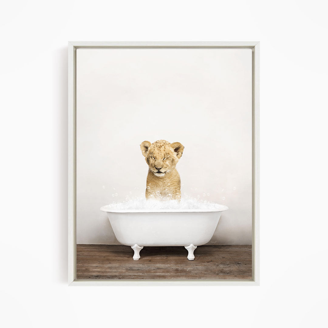 A young lion cub sitting in a white bathtub filled with water, looking up at the camera.