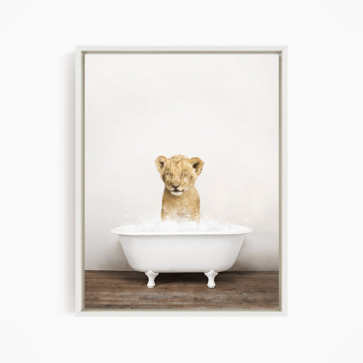 A young lion cub sitting in a white bathtub filled with water, looking up at the camera.