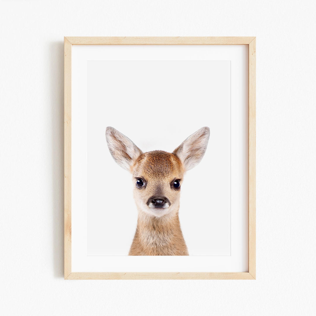a picture of a deer's head with a white background