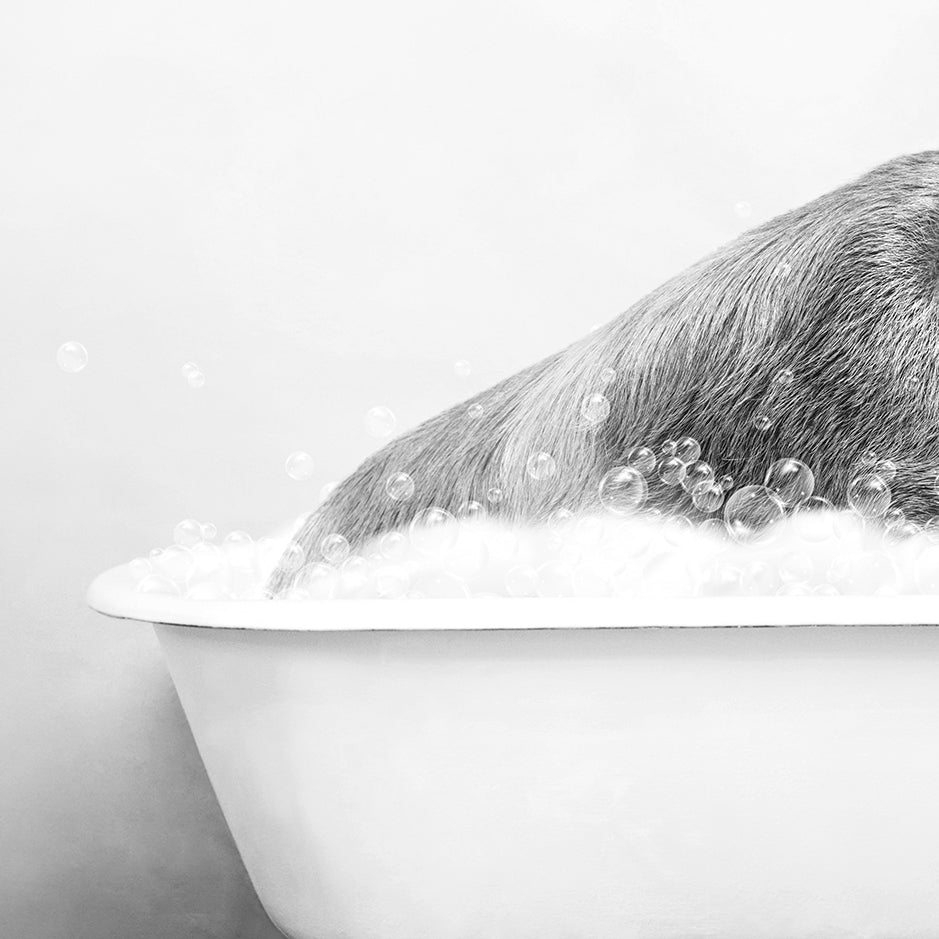 a polar bear taking a bath in a bathtub