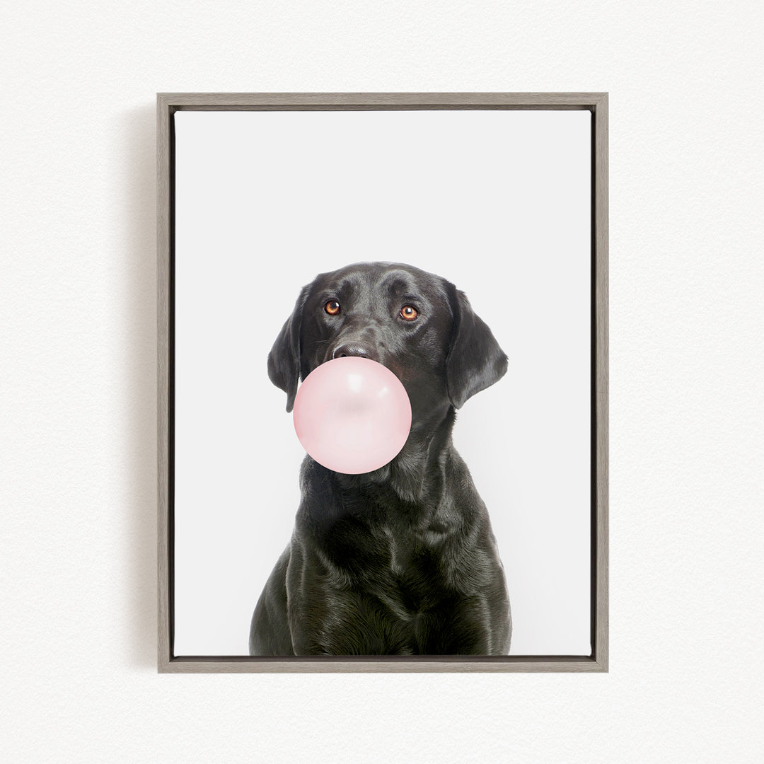 A black dog is blowing a pink bubble with its mouth, creating a playful and adorable scene.
