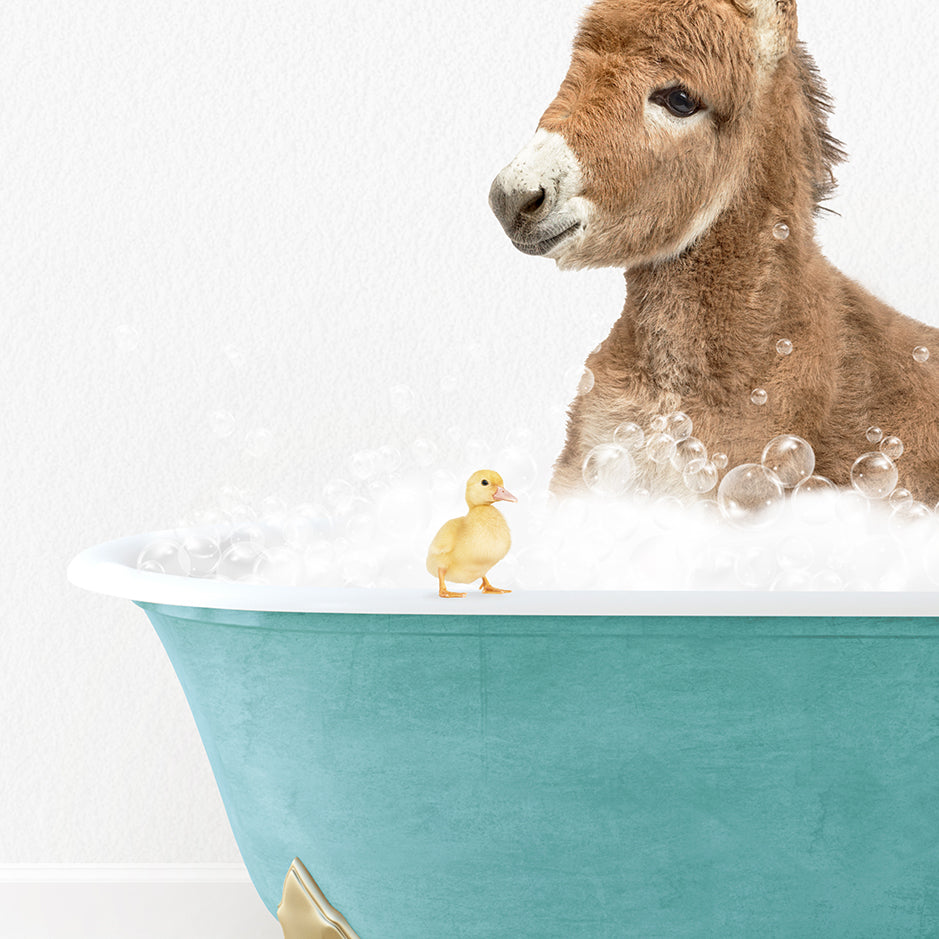 a baby donkey in a bathtub with bubbles and a rubber duck