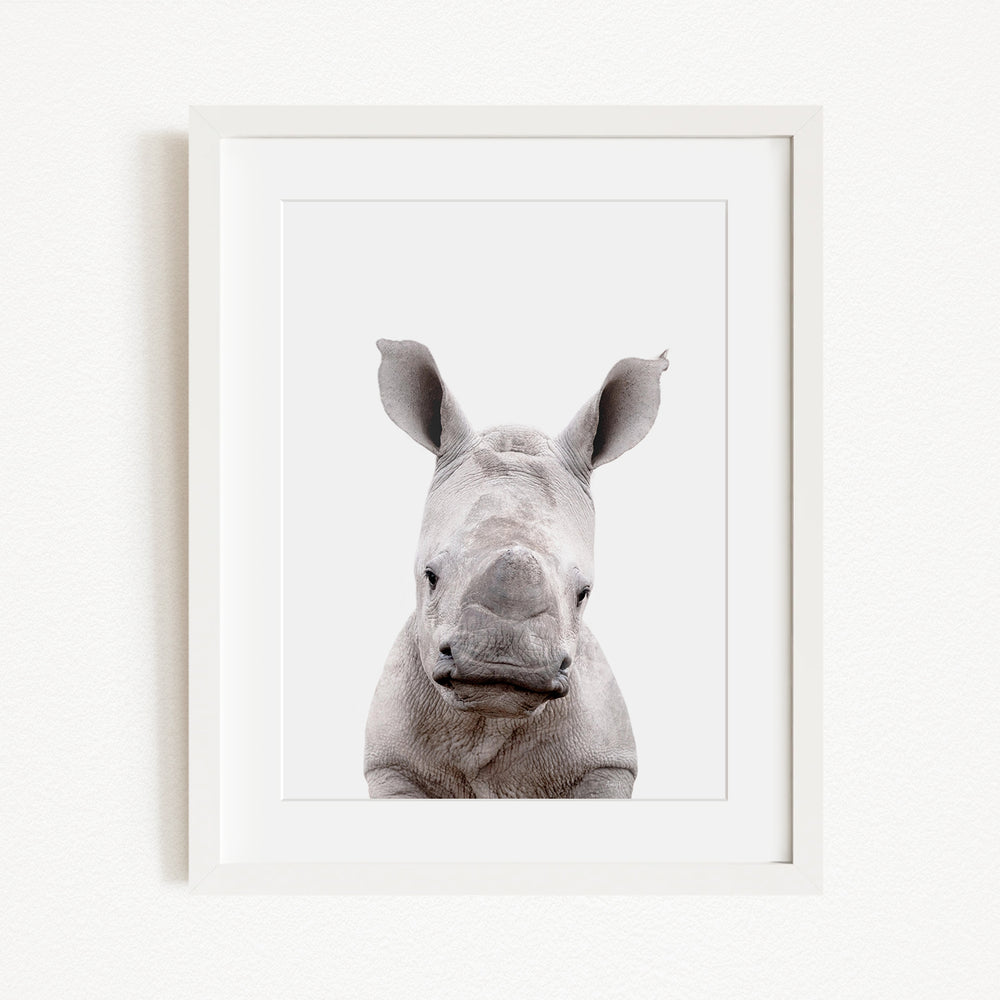 A close-up portrait of a rhinoceros, with its distinctive horn-like features prominently displayed.
