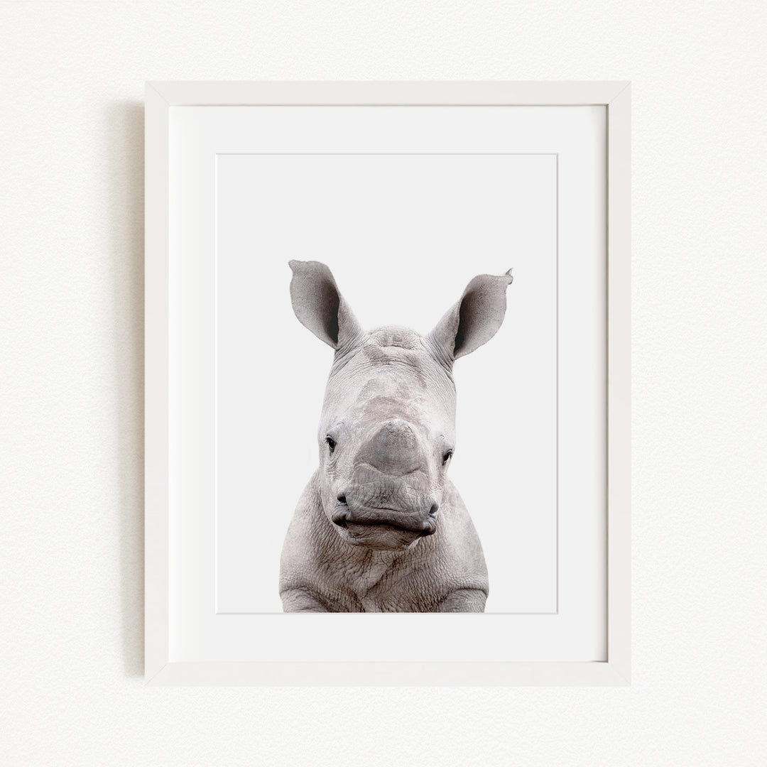 A close-up portrait of a rhinoceros, with its distinctive horn-like features prominently displayed.