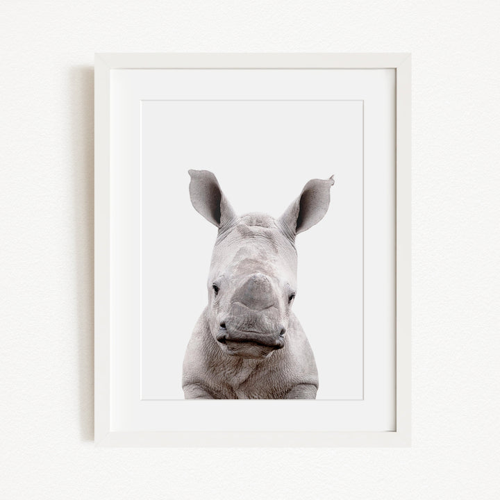 A close-up portrait of a rhinoceros, with its distinctive horn-like features prominently displayed.