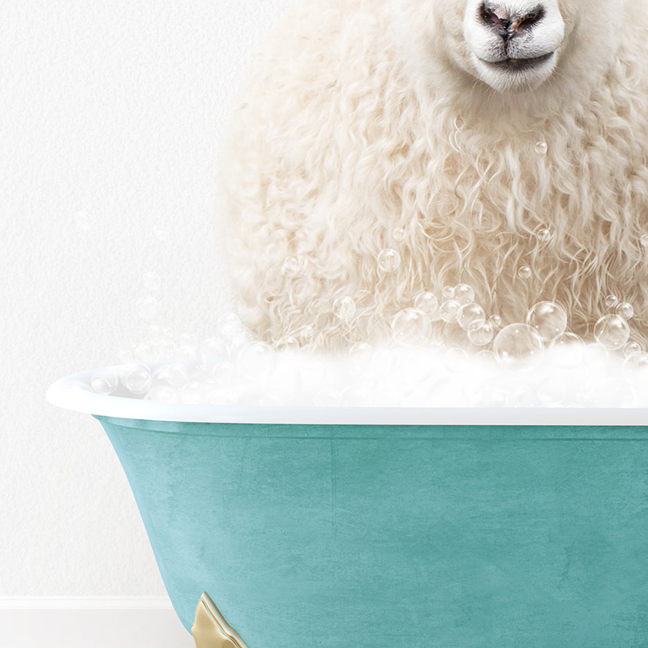 a sheep is sitting in a bathtub with bubbles